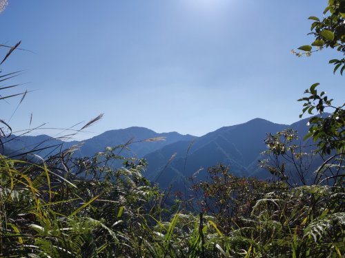 裝飾性圖片