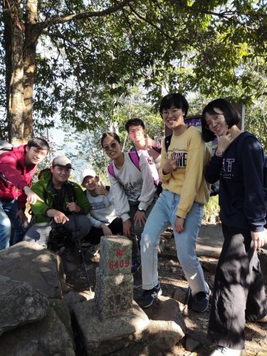 裝飾性圖片