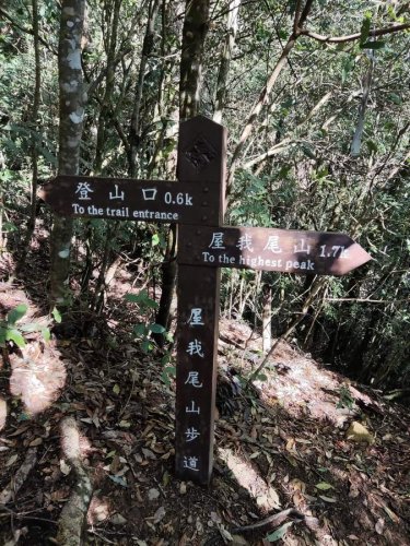 裝飾性圖片