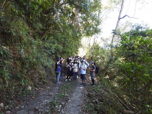 111.12.03 八仙山鐵道教學/裡冷/松鶴