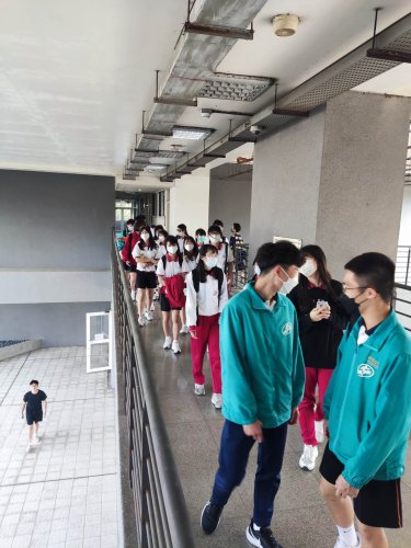 裝飾性圖片