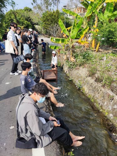 裝飾性圖片